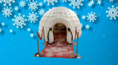 Igloo