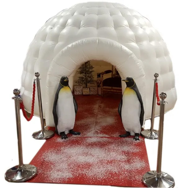 Igloo Grotto